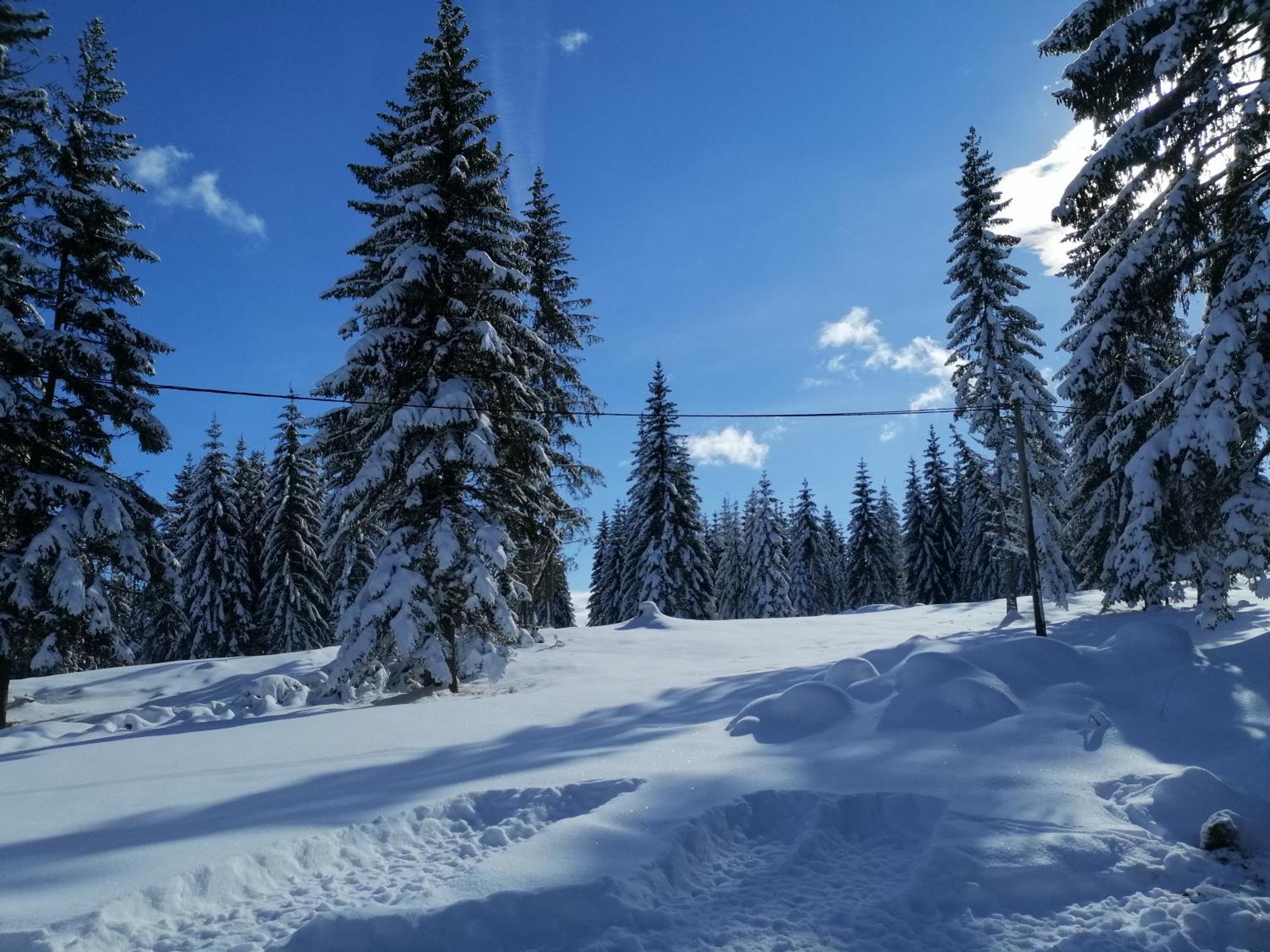 M&K Chalets Zabljak  Exterior photo